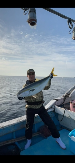 ブリの釣果