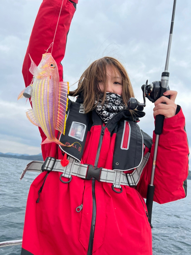 イトヨリダイの釣果