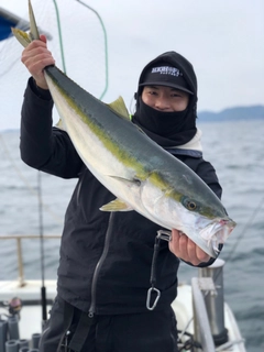 ブリの釣果