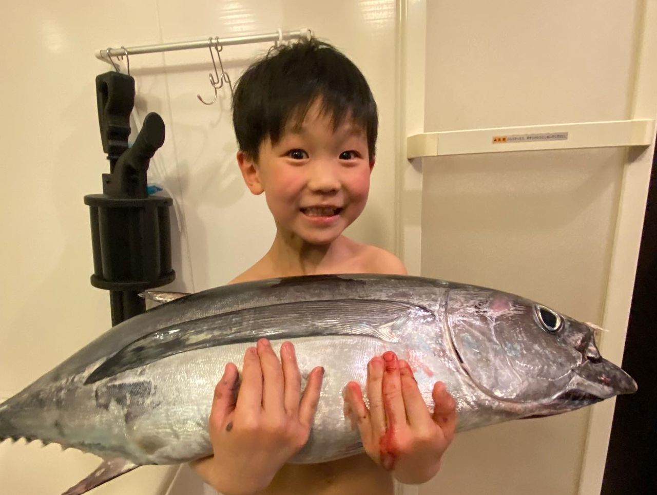 ビンチョウマグロ