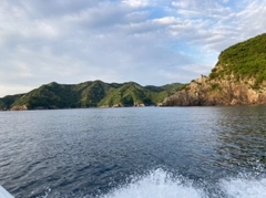 レンコダイの釣果