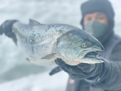 ウミサクラの釣果