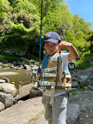 ニジマスの釣果