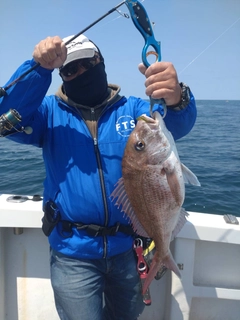 タイの釣果