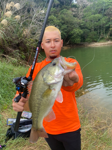 ブラックバスの釣果