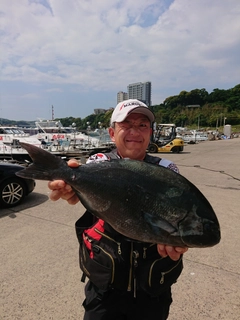 オナガグレの釣果