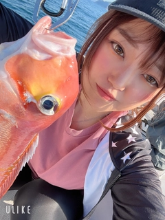 アマダイの釣果