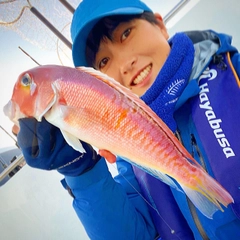 アマダイの釣果