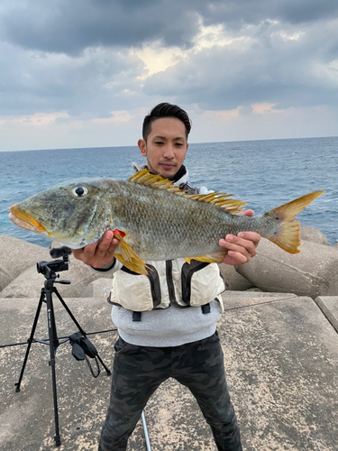 キツネフエフキの釣果