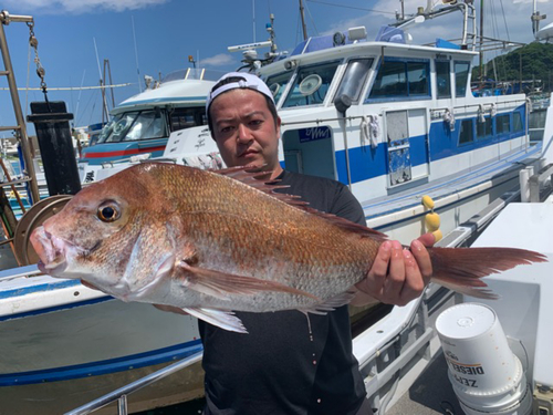 マダイの釣果