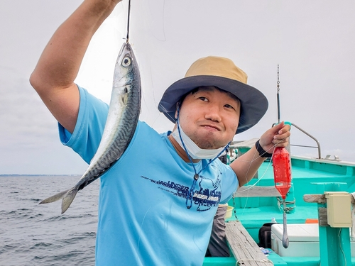 サバの釣果