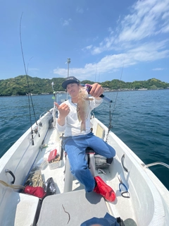 オオモンハタの釣果