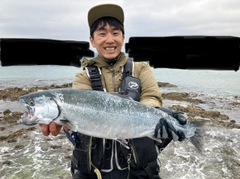 サクラマスの釣果