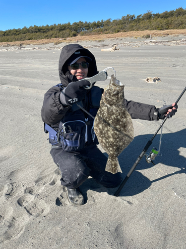 ヒラメの釣果