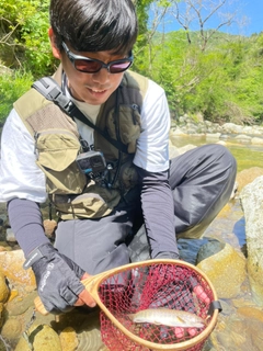 イワナの釣果