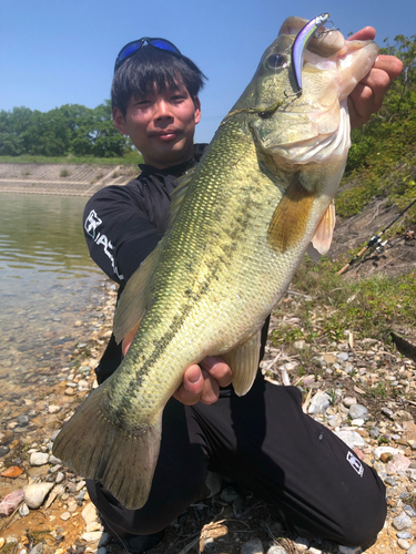 ブラックバスの釣果