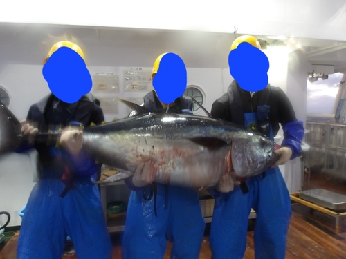 メバチマグロの釣果