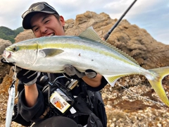 ブリの釣果