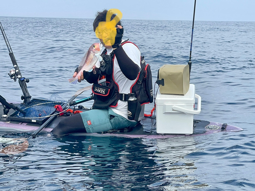 シロアマダイの釣果