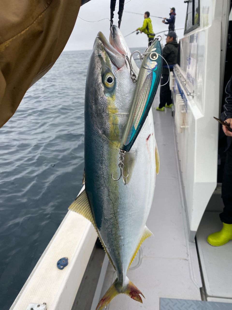 ユウキ@福井さんの釣果 2枚目の画像