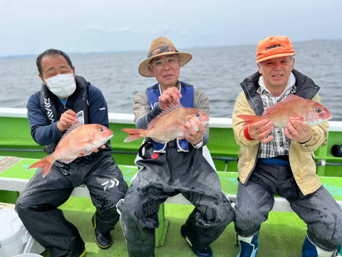 マダイの釣果