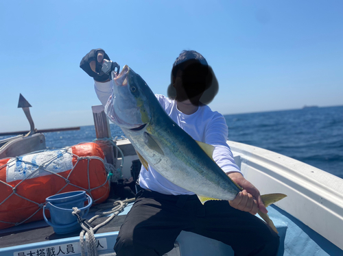 ハマチの釣果