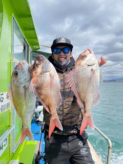 マダイの釣果