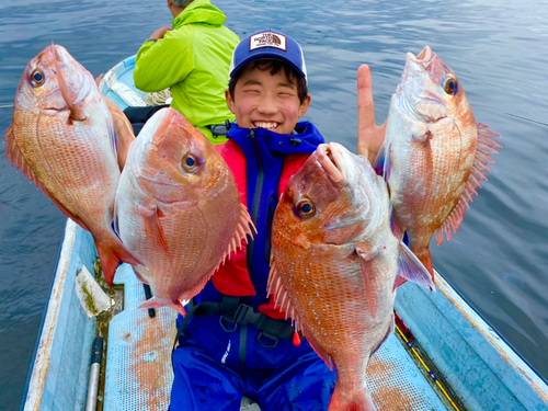 マダイの釣果