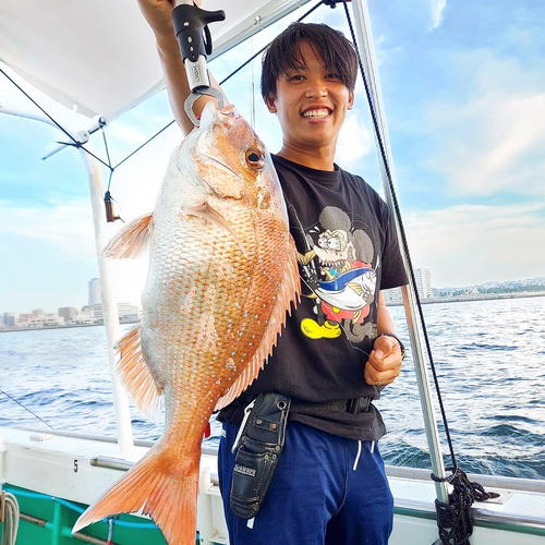 マダイの釣果