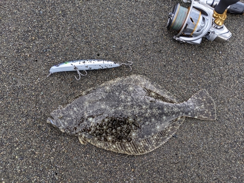 ソゲの釣果