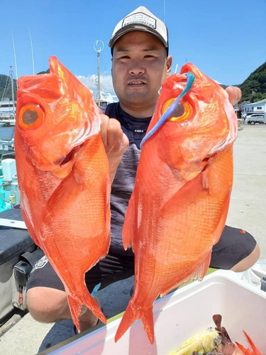 キンメダイの釣果