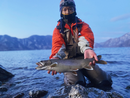 ニジマスの釣果