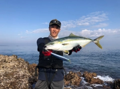 ヤズの釣果