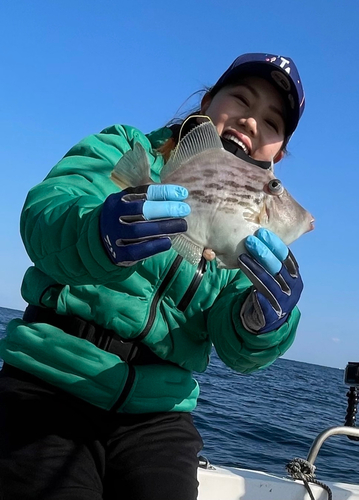 カワハギの釣果