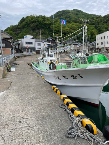 マイカの釣果