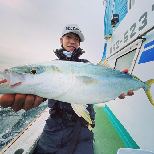 メジロの釣果