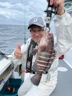 マハタの釣果