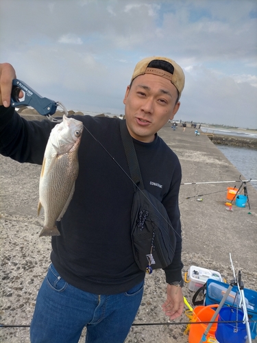 イシモチの釣果