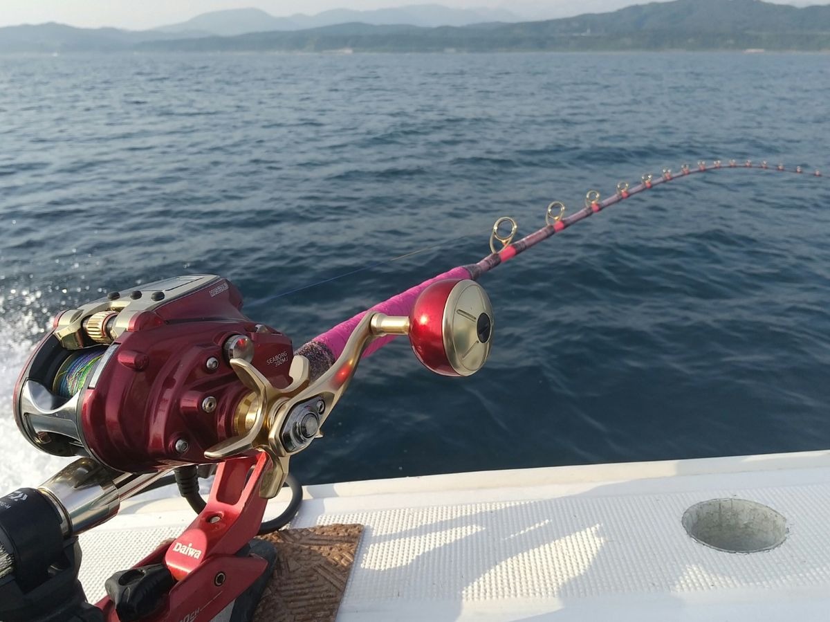 マグ次郎🐟️さんの釣果 3枚目の画像