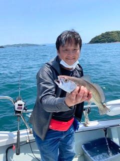 クログチの釣果