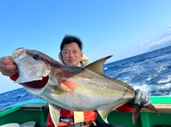 カンパチの釣果