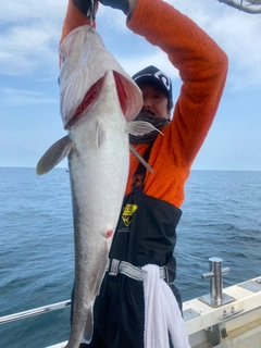 マダラの釣果