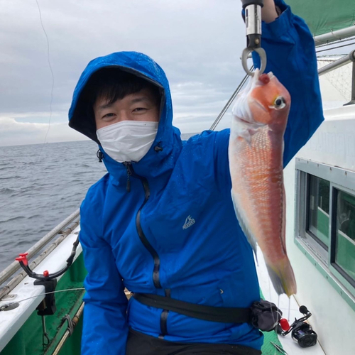 アマダイの釣果