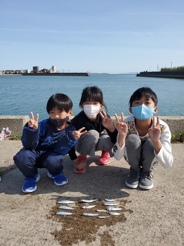 サバの釣果