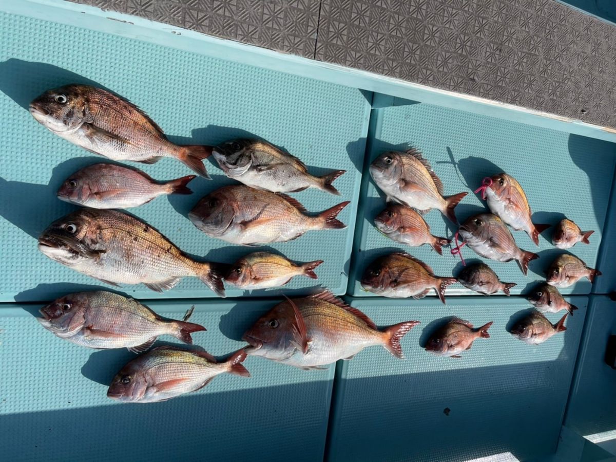 ドS東京湾鯛ラバ備忘録さんの釣果 2枚目の画像