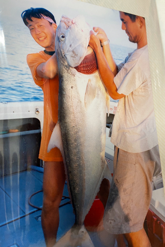 カンパチの釣果