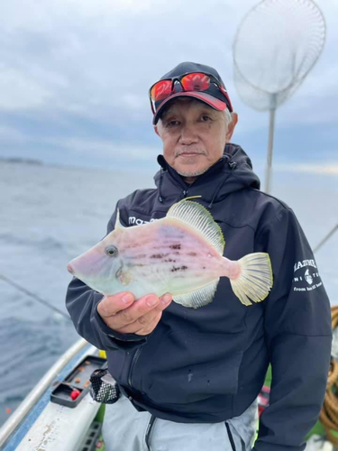 カワハギの釣果