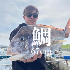 マダイの釣果