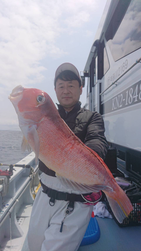 アマダイの釣果