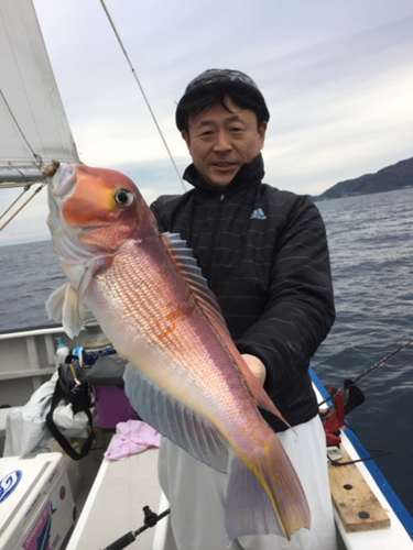 アマダイの釣果